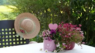 Congratulation Flowers