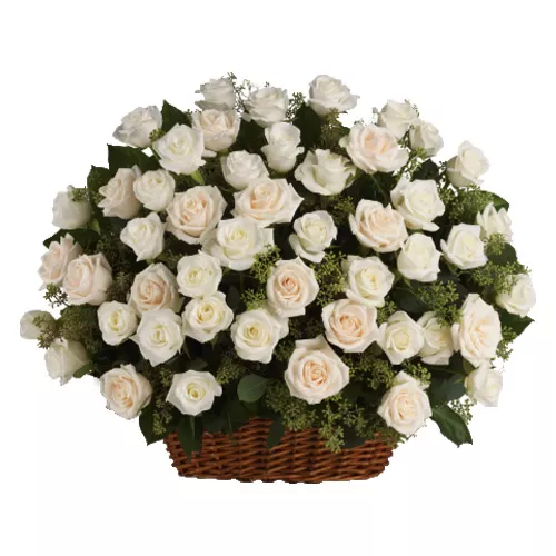 Remarkable White Roses