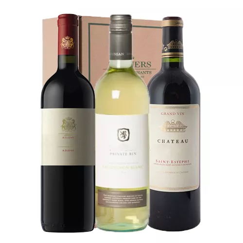 Astonish Wine Presentation