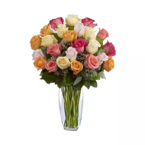 Enduring Mixed Color Roses