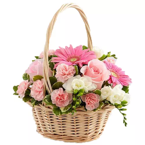 Awe-Inspiring Flowers