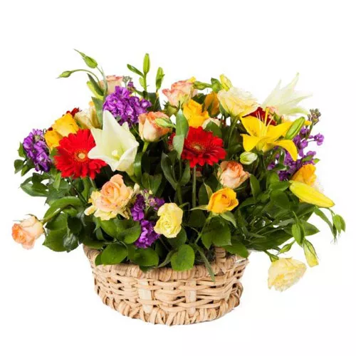 Amazing Floral Display