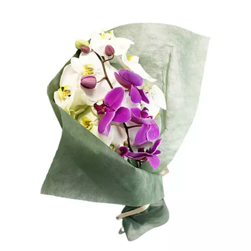Bouquet Of Large-Flowers