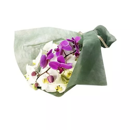 Arrangement Of Large-Flowers