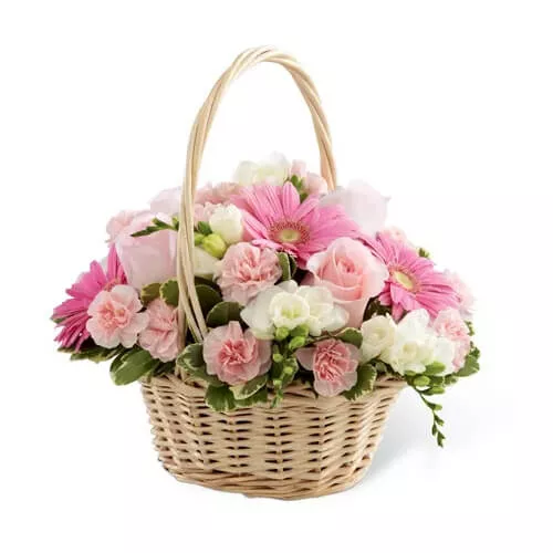 Basket Of Nature