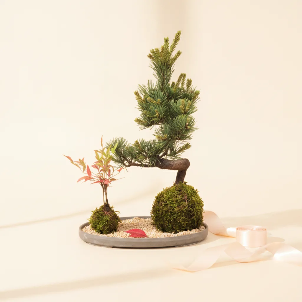Goyomatsu Plant & Nanten On Plate