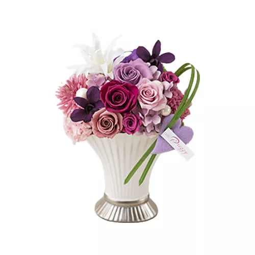 Nice Viole (Preserved Flower)