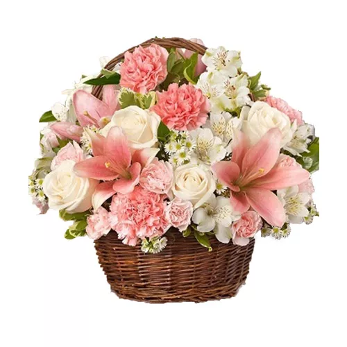 Fascinating Flowers