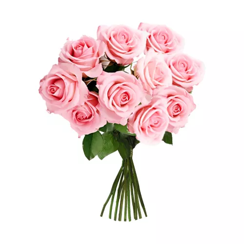 10 Charming Pink Roses Bouquet