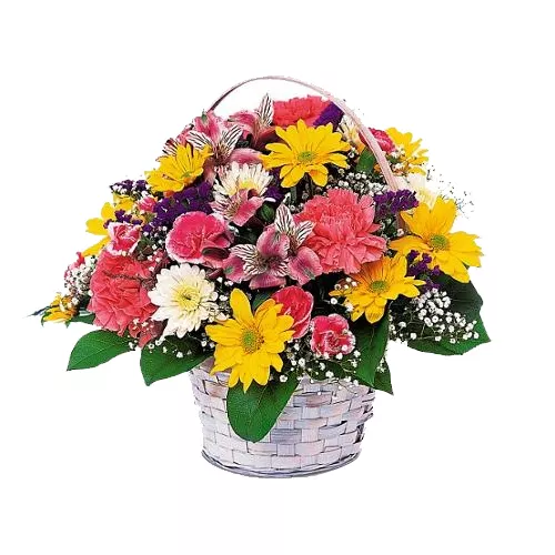 Colorful Arrangement of Basket