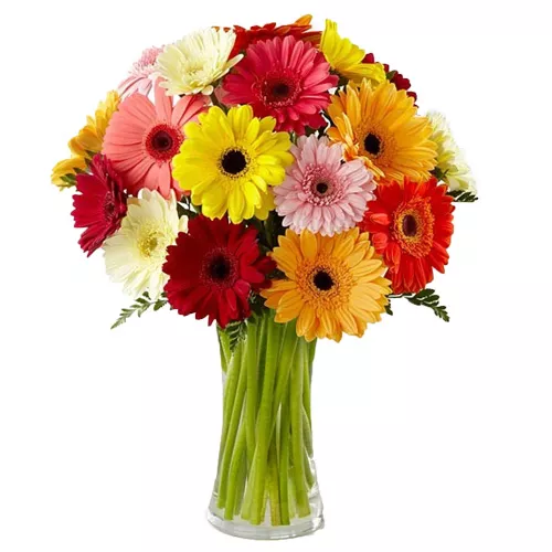 Remarkable Sweetest Surprise