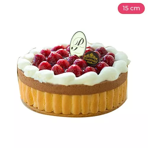 Delicious Chocolate And Raspberry Cake