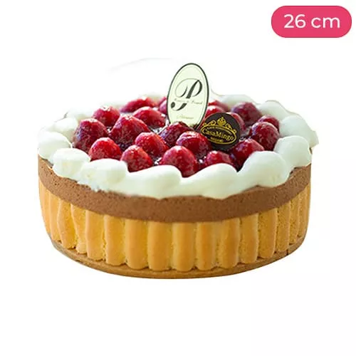 Cake with Chocolate and Raspberries