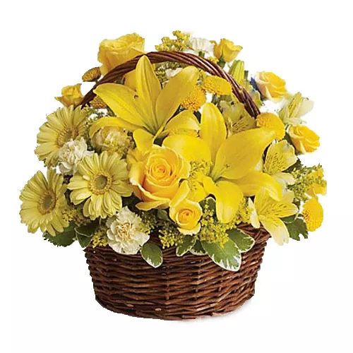 Blissful Filled Arrangement