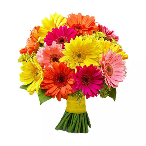Mixed Gerberas Bouquet