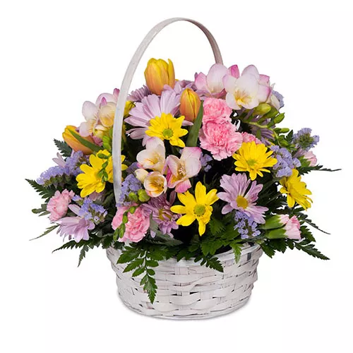 Appealing Seasonal Flowers