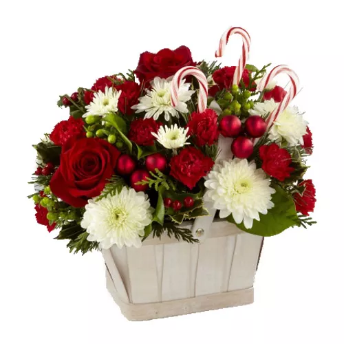 Seasonal Blooms