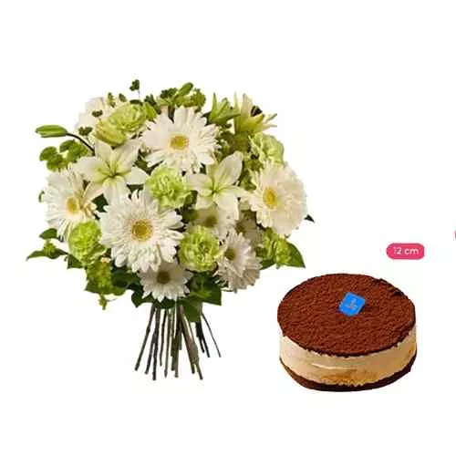 Green Carnations & Tiramisu Delight