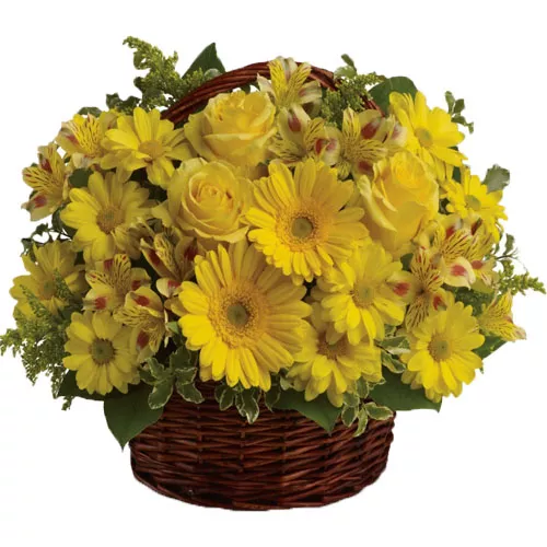 Expression of Best Wishes