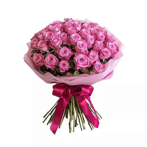 Blush 51 Pink Rose Elegance