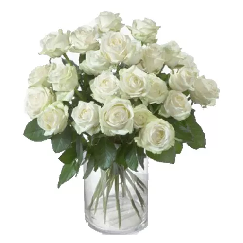 Cherishable White Roses Vase