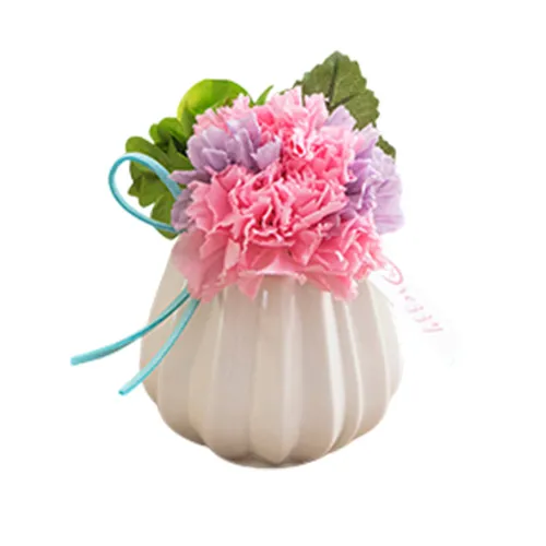 Charming Carnation Preserved Floral Arrangement