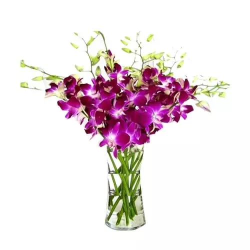 Mixed Orchid Vase
