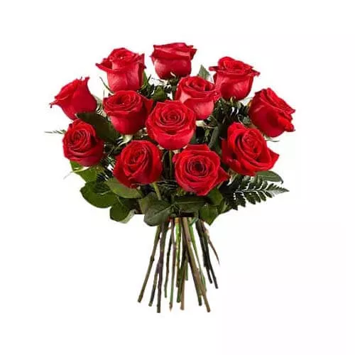 The Magnificence Of Red Roses