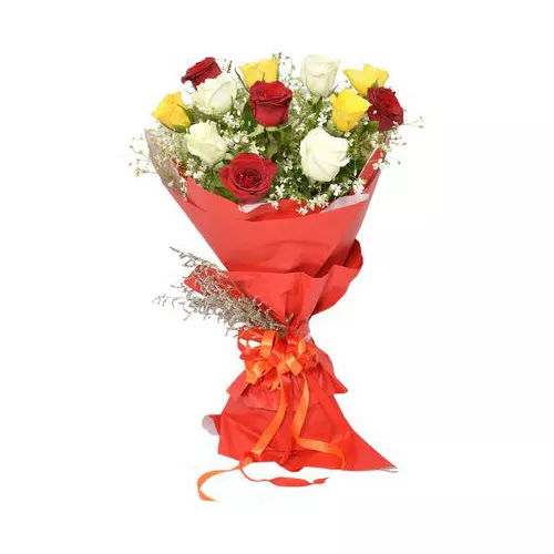 Jovial Mix Color Roses