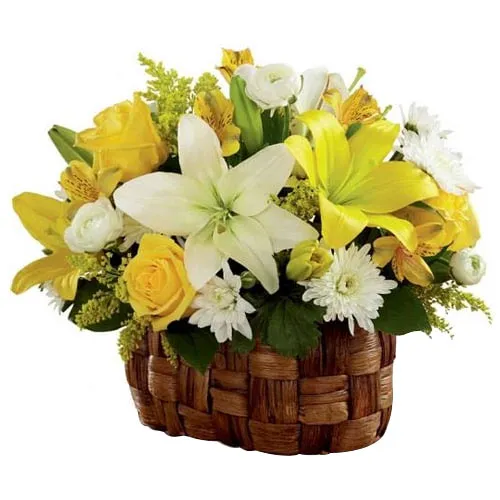 Wishes In Bright And Vibrant Colors