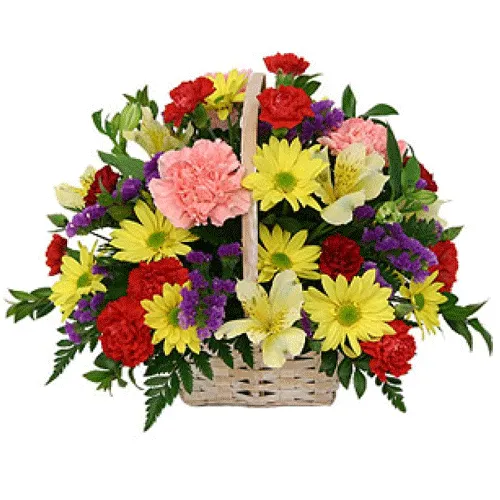 Superbly Bright And Cheerful Best Wishes