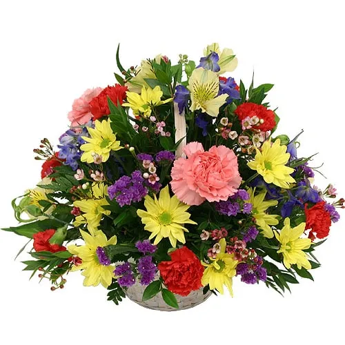 The Seasonal Floral Beauty
