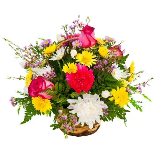 Spectacular Baskets