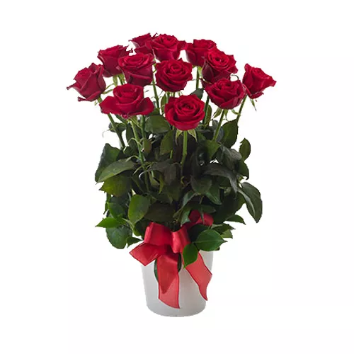 Phenomenal Roses Arrangement